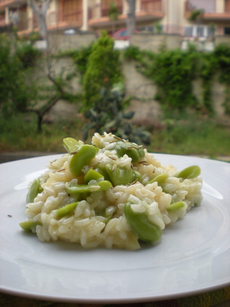 Risotto Fave e semi di Finocchio